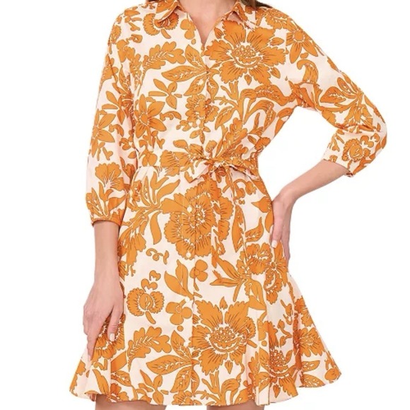 Cynthia Steffe Dresses & Skirts - CYNTHIA STEFFE Fit & Flare A-Line Floral Belted Poplin Dress Button Up Sz L